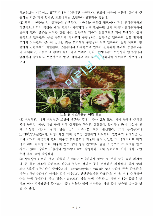 식물의학 B형 과제물 jsnjb   (5 )